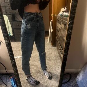 American eagle size 2 regular.